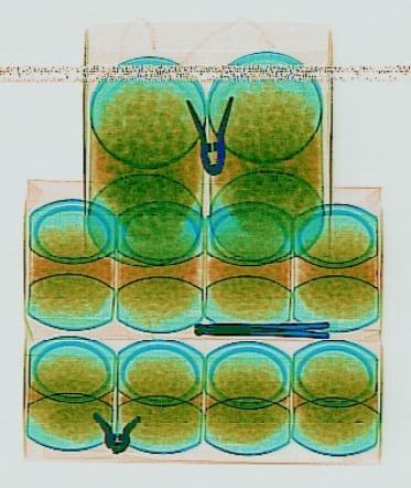 Detection preview by DN_Medium_300_yolov8m_20t7_new