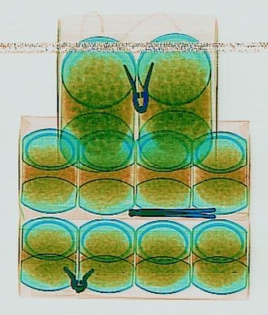 Detection preview by DN_Medium_300_yolov8m_20t7_new