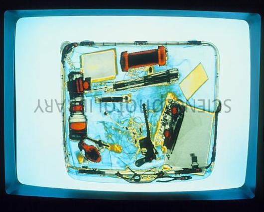 Detection preview by DN_Medium_300_yolov8m_20t7_new