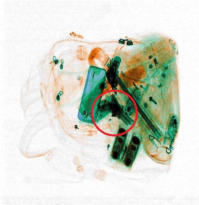 Detection preview by DN_Medium_300_yolov8m_20t7_new