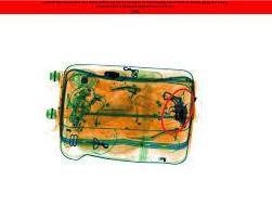 Detection preview by DN_Medium_300_yolov8m_20t7_new