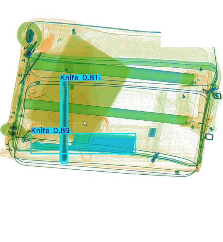 Detection preview by Segmentatation_v8_medium_train_250