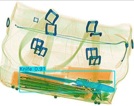 Detection preview by Segmentatation_v8_medium_train_250
