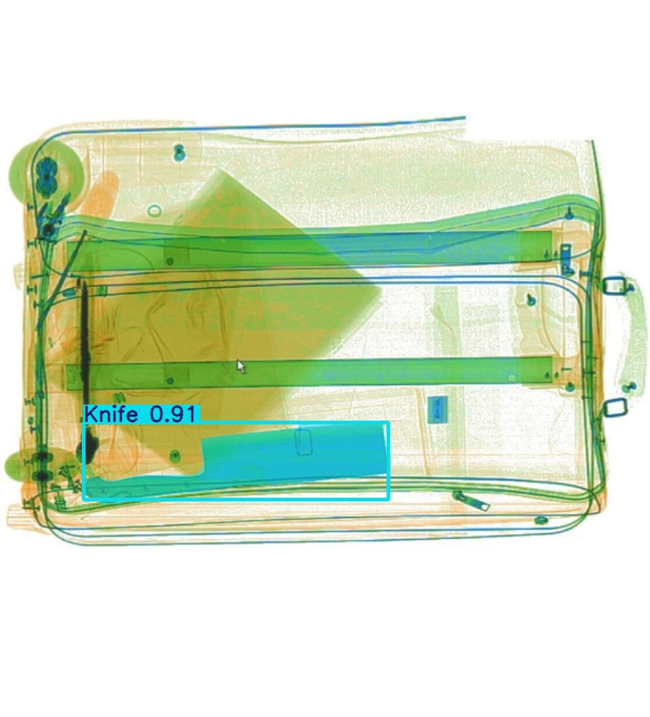 Detection preview by Segmentatation_v8_medium_train_250