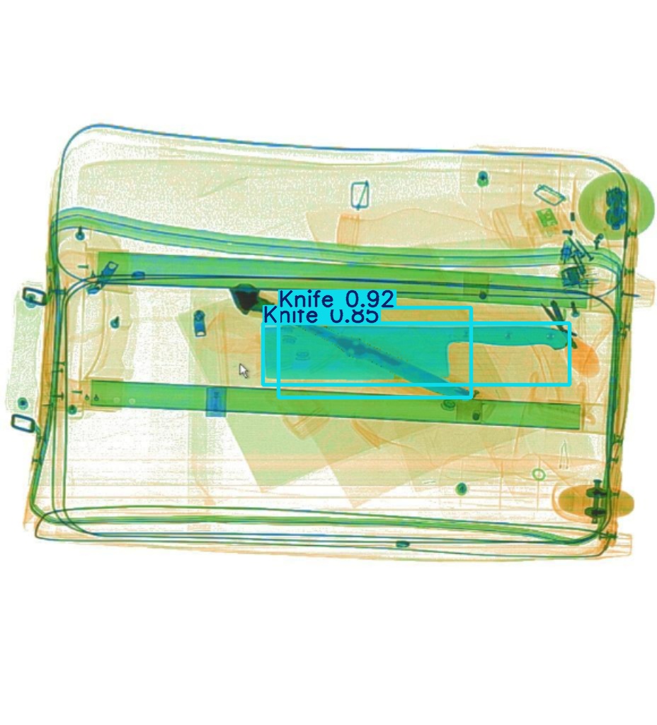 Detection preview by Segmentatation_v8_medium_train_250