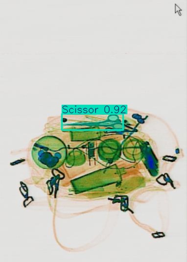 Detection preview by Segmentatation_v8_medium_train_250