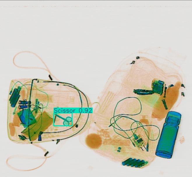 Detection preview by Segmentatation_v8_medium_train_250