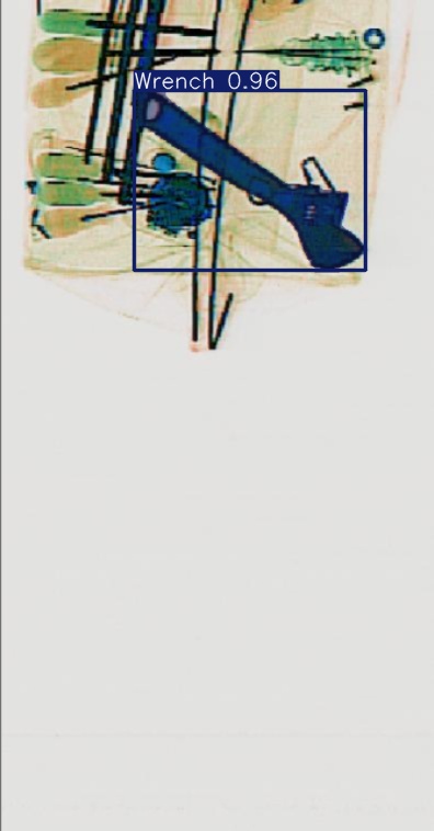 Detection preview by Segmentatation_v8_medium_train_250