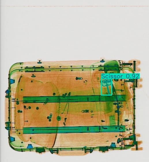 Detection preview by Segmentatation_v8_medium_train_250