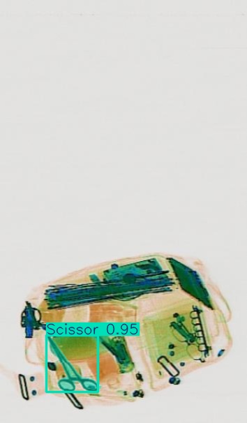 Detection preview by Segmentatation_v8_medium_train_250