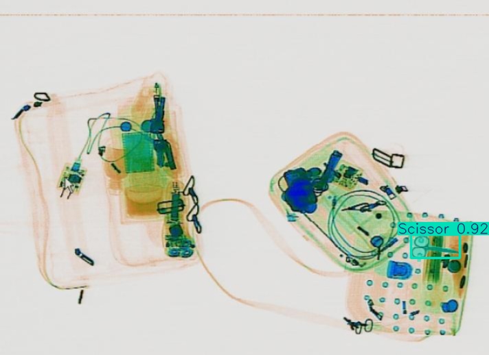 Detection preview by Segmentatation_v8_medium_train_250