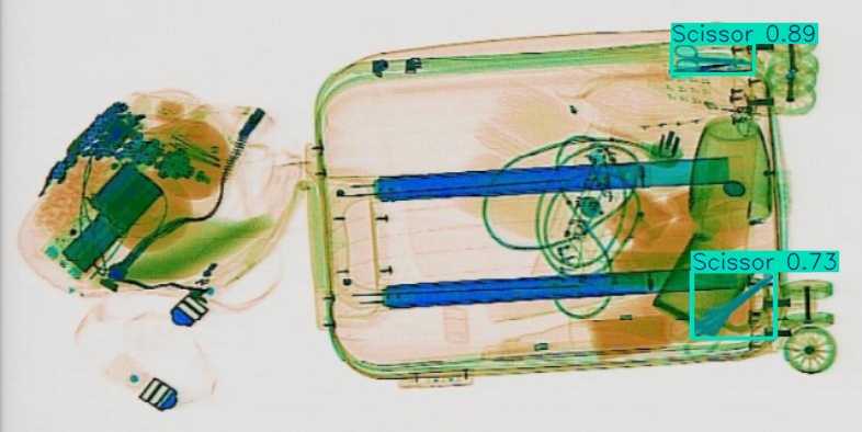 Detection preview by Segmentatation_v8_medium_train_250