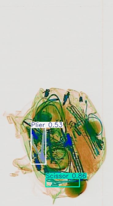 Detection preview by Segmentatation_v8_medium_train_250