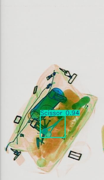 Detection preview by Segmentatation_v8_medium_train_250