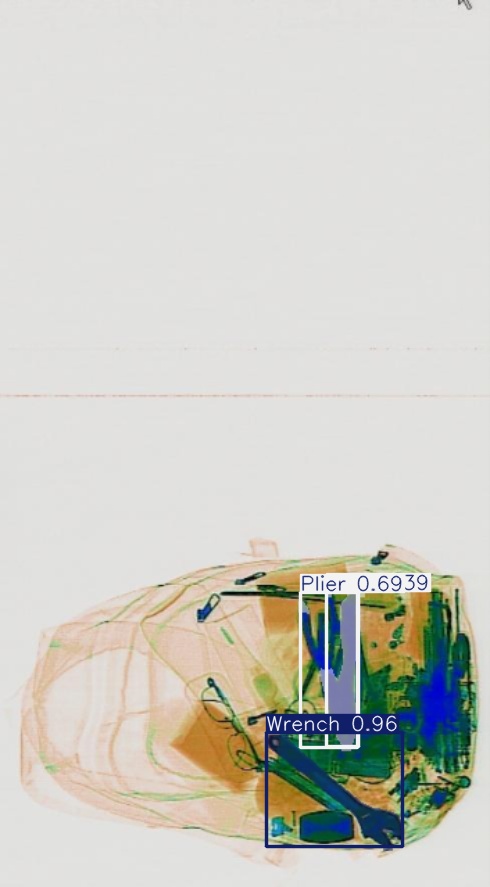 Detection preview by Segmentatation_v8_medium_train_250