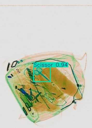 Detection preview by Segmentatation_v8_medium_train_250