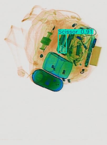 Detection preview by Segmentatation_v8_medium_train_250