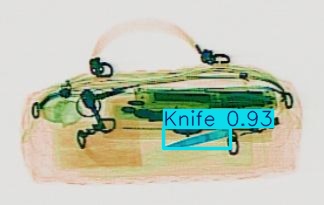 Detection preview by Segmentatation_v8_medium_train_250