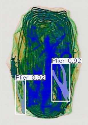Detection preview by Segmentatation_v8_medium_train_250