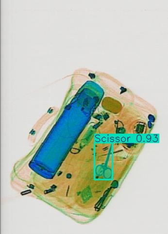 Detection preview by Segmentatation_v8_medium_train_250