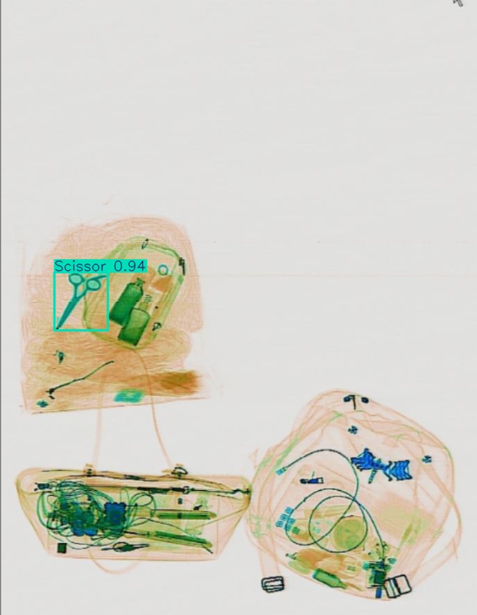 Detection preview by Segmentatation_v8_medium_train_250