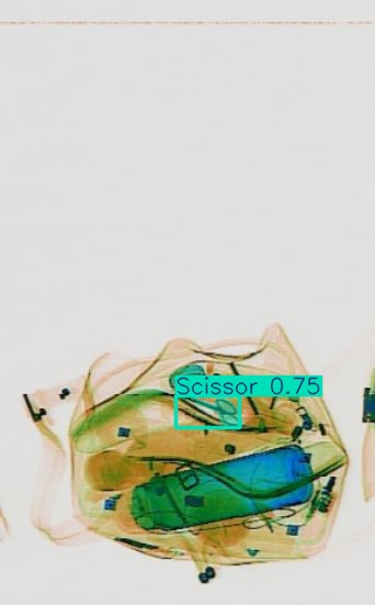 Detection preview by Segmentatation_v8_medium_train_250