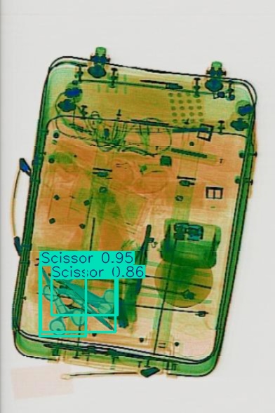 Detection preview by Segmentatation_v8_medium_train_250