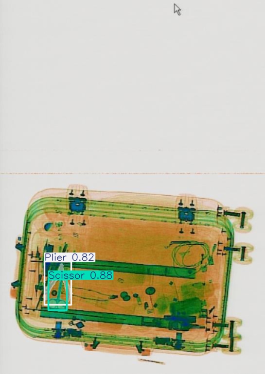 Detection preview by Segmentatation_v8_medium_train_250