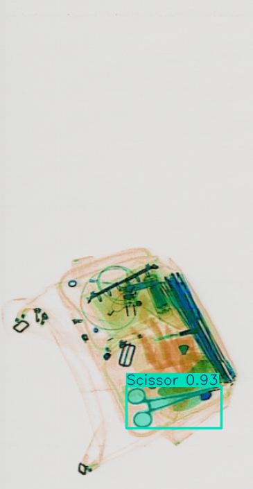 Detection preview by Segmentatation_v8_medium_train_250