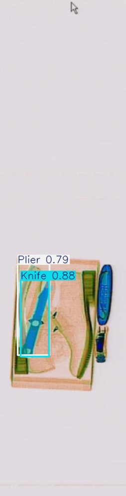 Detection preview by Segmentatation_v8_medium_train_250