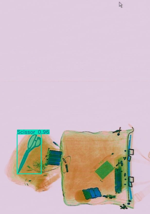 Detection preview by Segmentatation_v8_medium_train_250