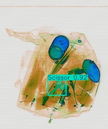 Detection preview by Segmentatation_v8_medium_train_250