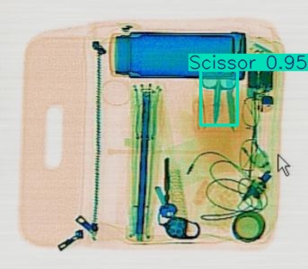 Detection preview by Segmentatation_v8_medium_train_250