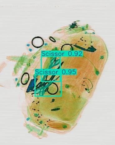 Detection preview by Segmentatation_v8_medium_train_250