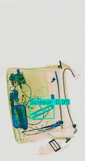 Detection preview by Segmentatation_v8_medium_train_250
