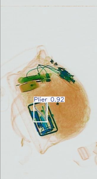 Detection preview by Segmentatation_v8_medium_train_250