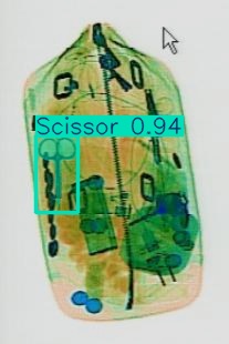 Detection preview by Segmentatation_v8_medium_train_250