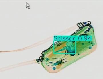 Detection preview by Segmentatation_v8_medium_train_250