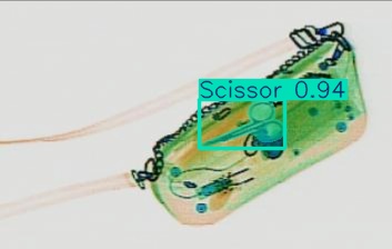 Detection preview by Segmentatation_v8_medium_train_250