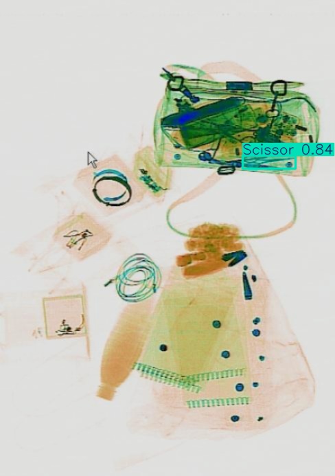 Detection preview by Segmentatation_v8_medium_train_250