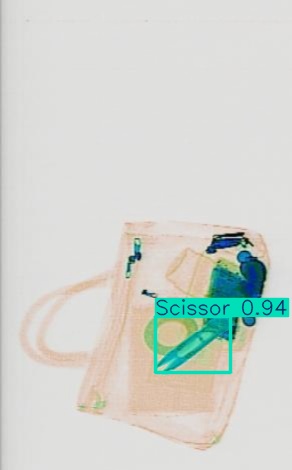 Detection preview by Segmentatation_v8_medium_train_250