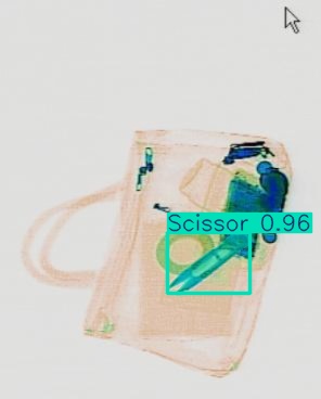 Detection preview by Segmentatation_v8_medium_train_250