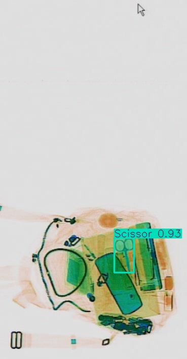 Detection preview by Segmentatation_v8_medium_train_250