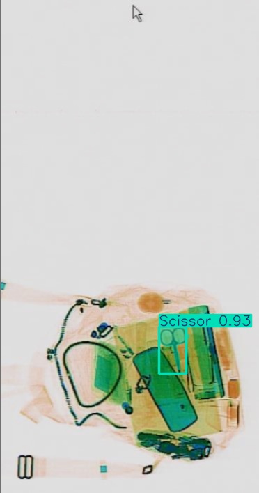 Detection preview by Segmentatation_v8_medium_train_250