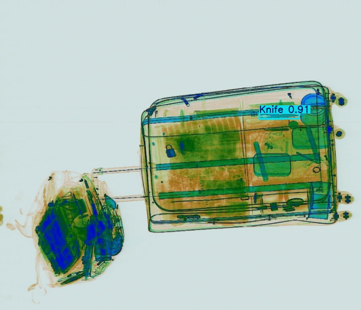 Detection preview by Segmentatation_v8_medium_train_250