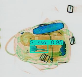 Detection preview by Segmentatation_v8_medium_train_250