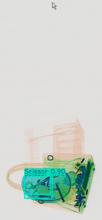 Detection preview by Segmentatation_v8_medium_train_250