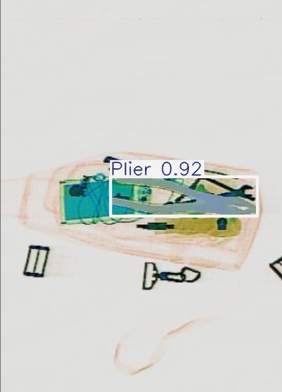 Detection preview by Segmentatation_v8_medium_train_250