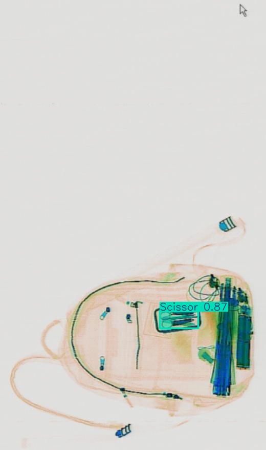 Detection preview by Segmentatation_v8_medium_train_250