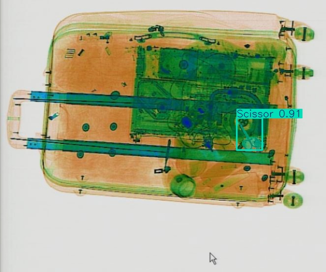 Detection preview by Segmentatation_v8_medium_train_250